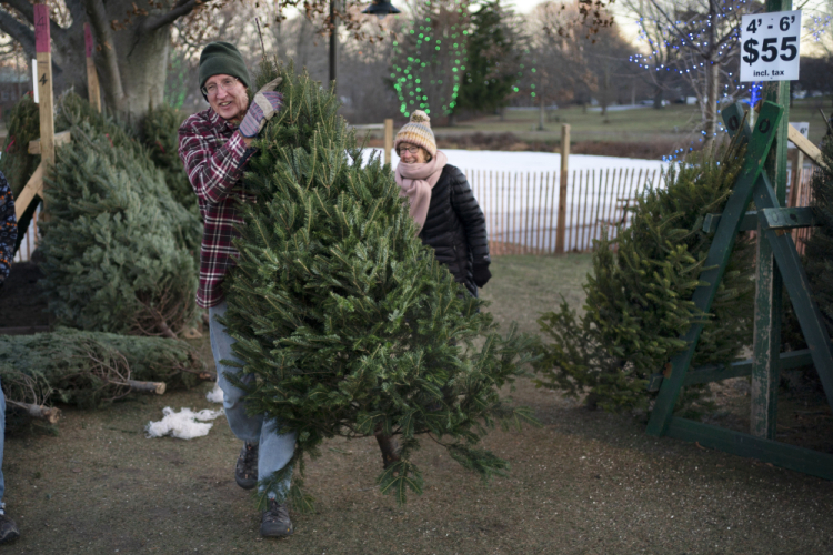 Inflation Christmas Trees