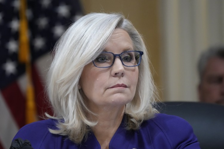 Books-Liz Cheney