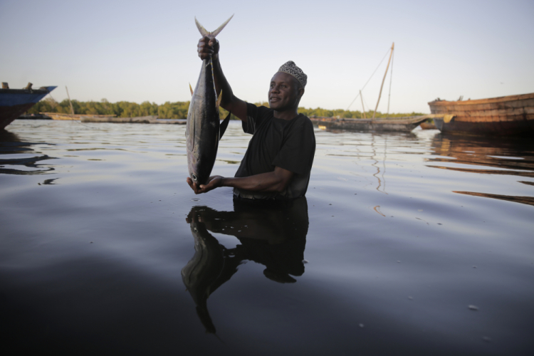 Climate Fisheries