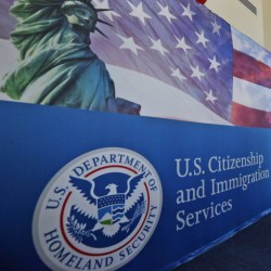 Immigration Tech Visas