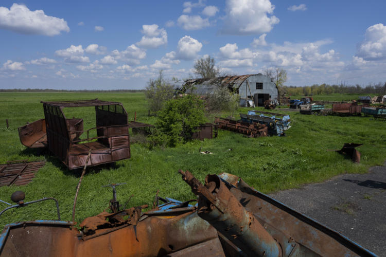 Russia Ukraine War Grain