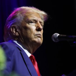 Georgia Election Investigation Prosecutor