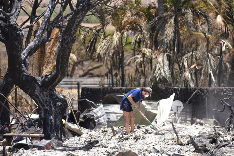 Hawaii Fires Climate Gentrification