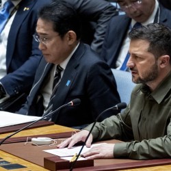 UN General Assembly Security Council