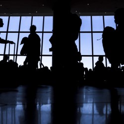 Federal Reserve Consumer Finances