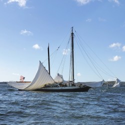 Schooner Broken Mast