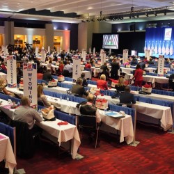 Election 2024 Delegates Explainer