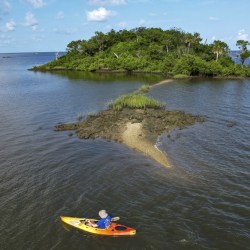 Pandemic Aid Great Grift The Swindlers