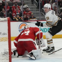 Bruins Red Wings Hockey