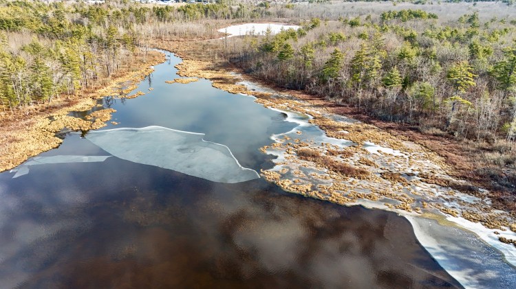 Tripp Pond