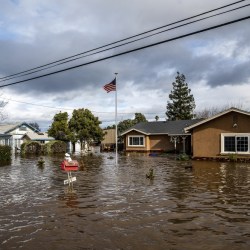 Flood Risk Migration Study